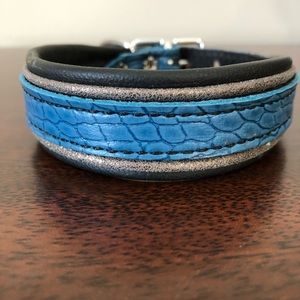 Leather padded dog collar